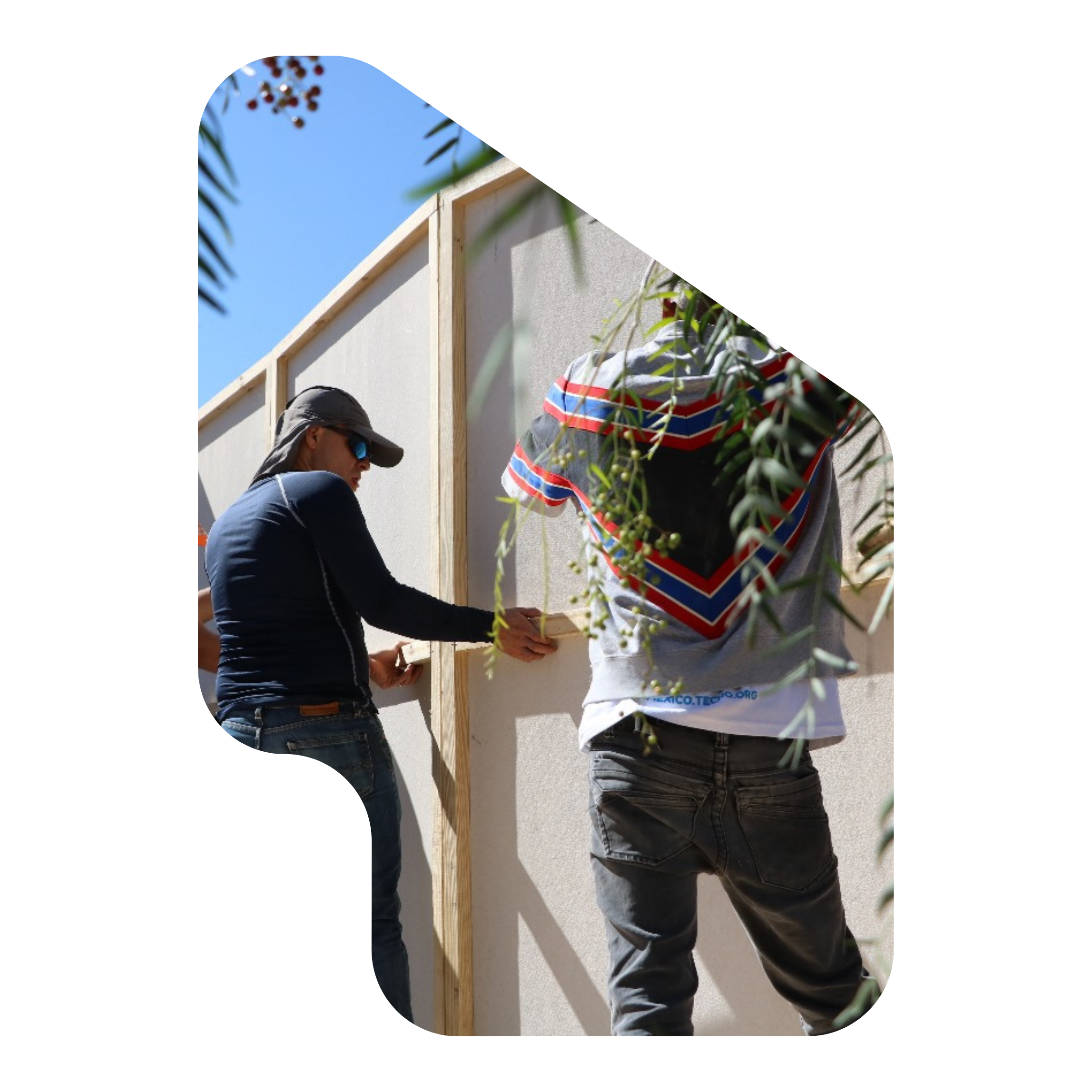 Imagen representativa